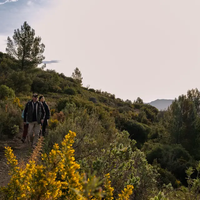 Randonnee Petit Marcel Cineaste En Herbe@al Oti Pays Daubagne