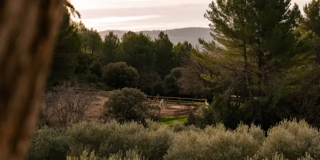 Domaine Font De Mai Aubagne Al Oti Paysdaubagne