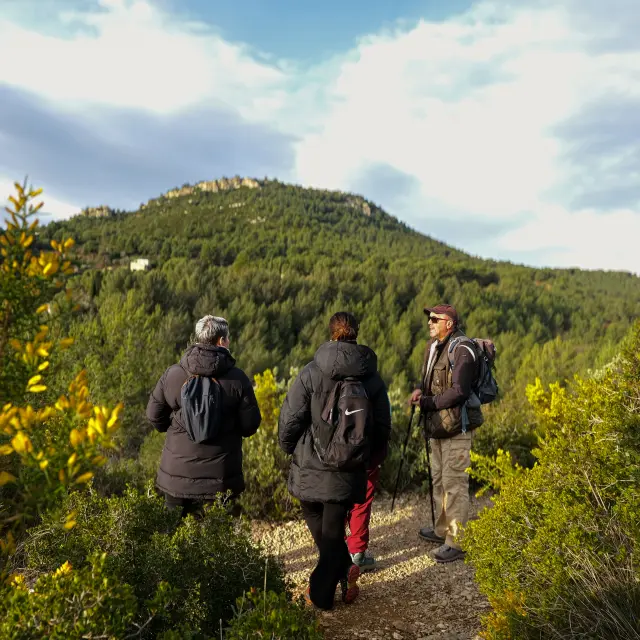 Randonnee Petit Marcel Cineaste En Herbe @al Oti Paysdaubagne