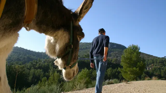 Ane Font De Mai Oti Pays D Aubagne 2