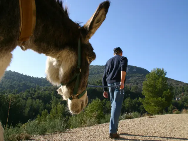 Ane Font De Mai Oti Pays D Aubagne 2