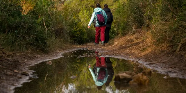 Randonnee Petit Marcel Cineaste En Herbe Al Oti Paysdaubagne 2