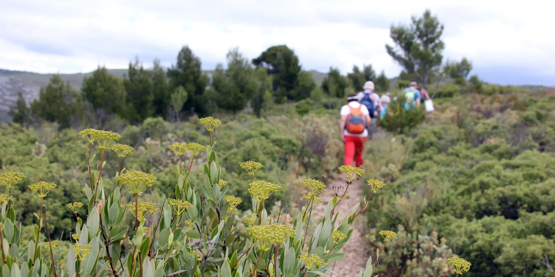 Rando Pagnol Jpvallorani 20