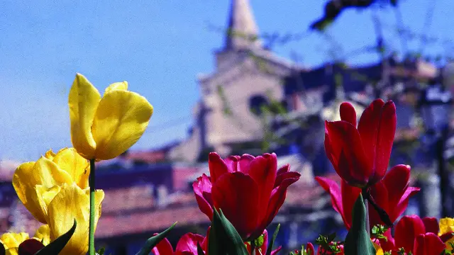 Eglise Saint Sauveur Et Coquelicots Aubagne Oti Pays D Aubagne