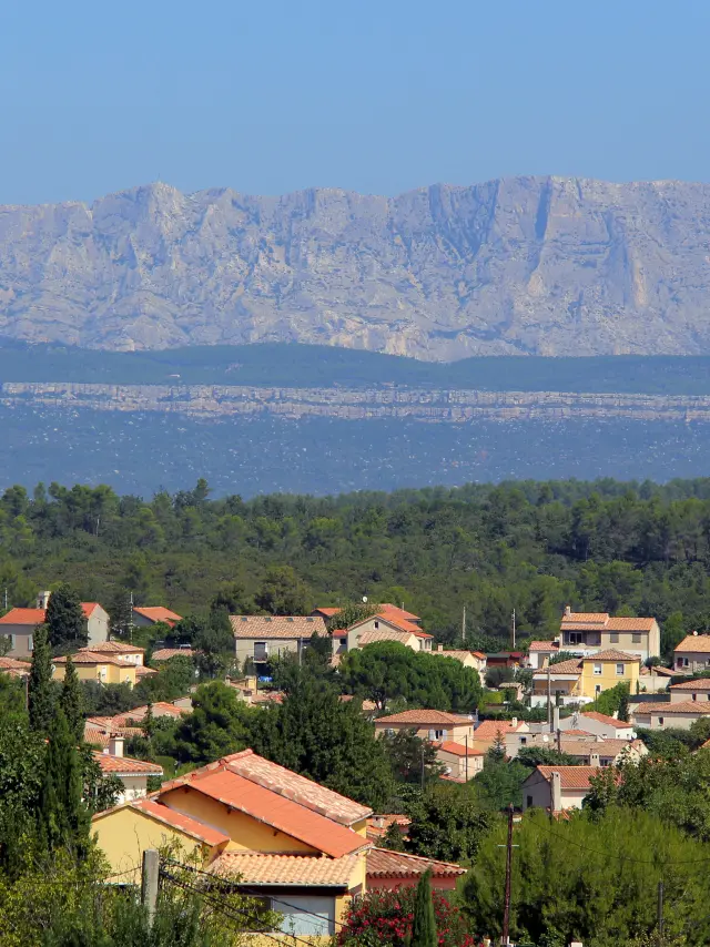 Cadolive Jpvallorani006 1