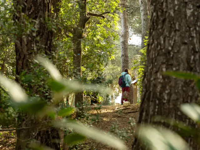 Randonnee Petit Marcel Cineaste En Herbe Randonneurs Al Pays Daubagne 7