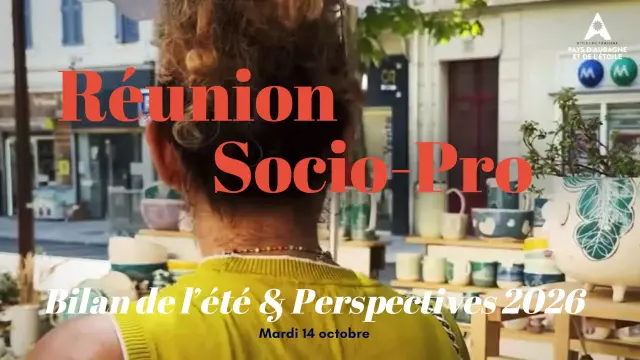 Présentation Réunion Socio Pros