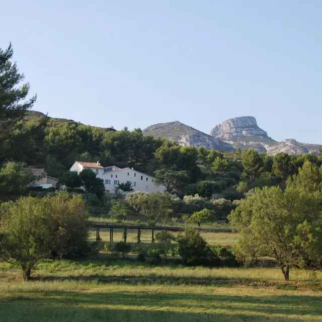 Font De Mai Oti Pays D Aubagne 9