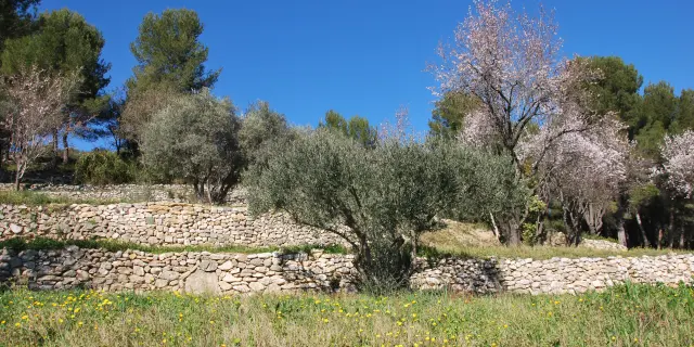 Font de Mai - 19/02/2016