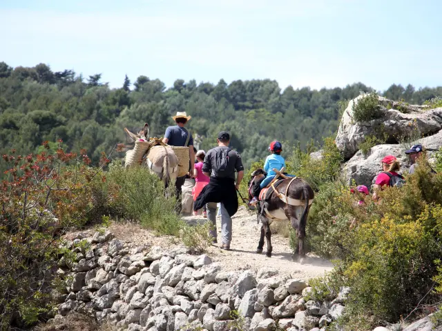Anes Balade Sentier Nature Garlaban La Font De Mai Oti Aubagne