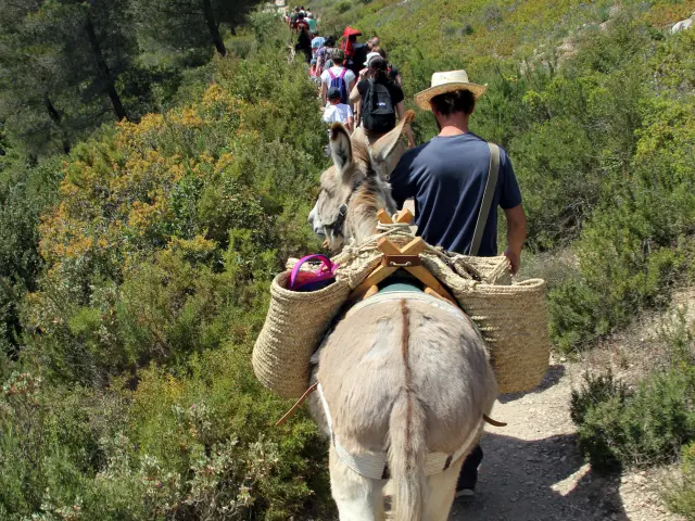 Anes Balades Randonnees Garlaban La Font De Mai Oti Aubagne