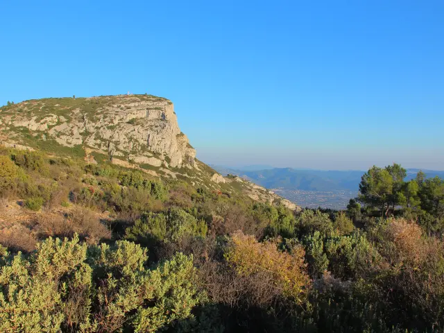 Garrigue Garlaban Sommet Nature Massif De Letoile Provence Oti Aubagne