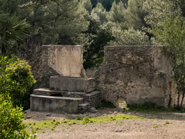 Randonnee Petit Marcel Cineaste En Herbe Ferme Angele Al Pays Daubagne 1