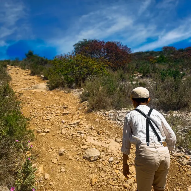 Representation Du Petit Marcel Dans Les Collines @oc Oti Pays Daubagne