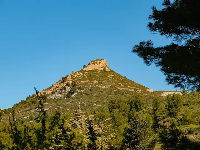 Massif de tête rouge
