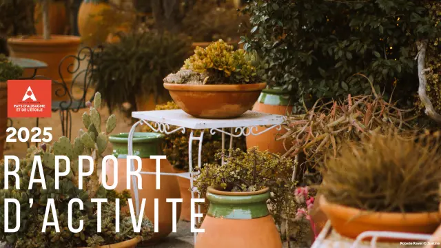 Rapport Activité 2025
