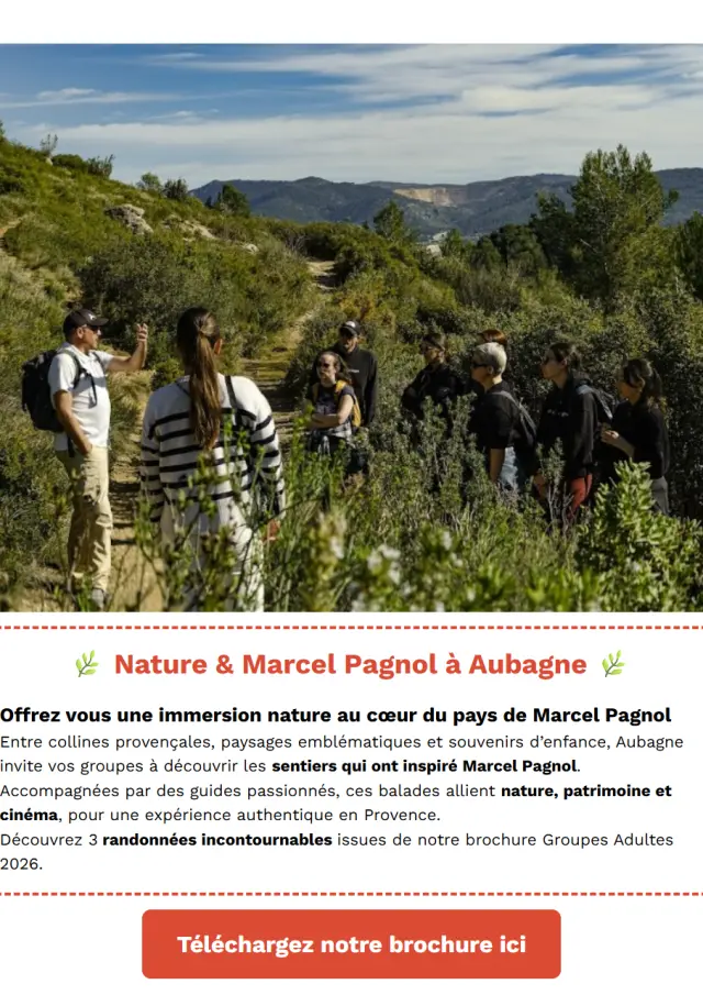 Newsletter Groupes 2026