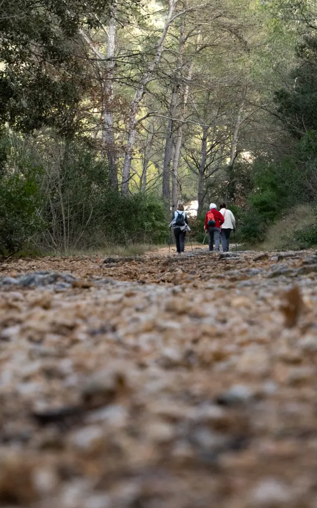 Sources Des Nayes Randonnee Saint Zacharie Aloti Pays Daubagne2