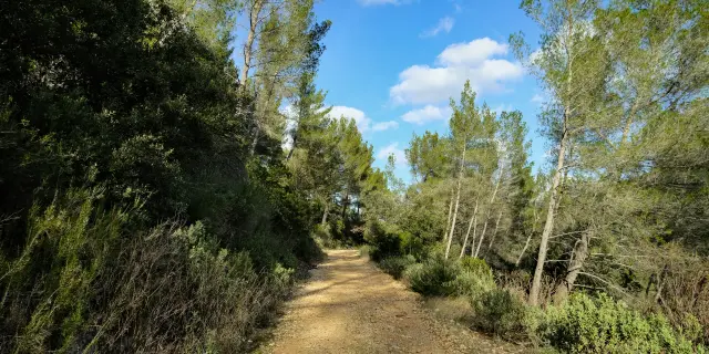 Sources Des Nayes Randonnee Saint Zacharie Aloti Pays Daubagne