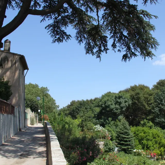 Saint Zacharie Jpvallorani 8