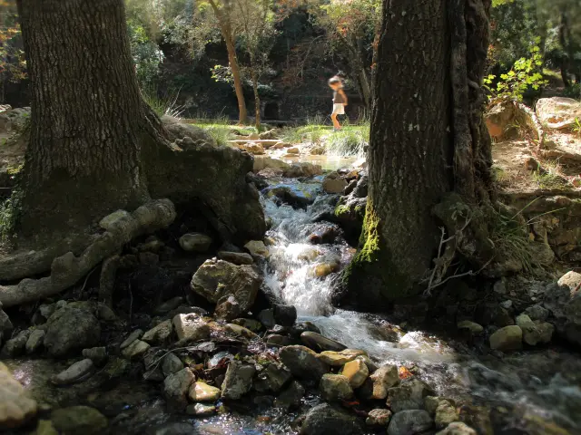 Source Des Nayes Famille Eau Peyruis Saint Zacharie Oti Pays D Aubagne