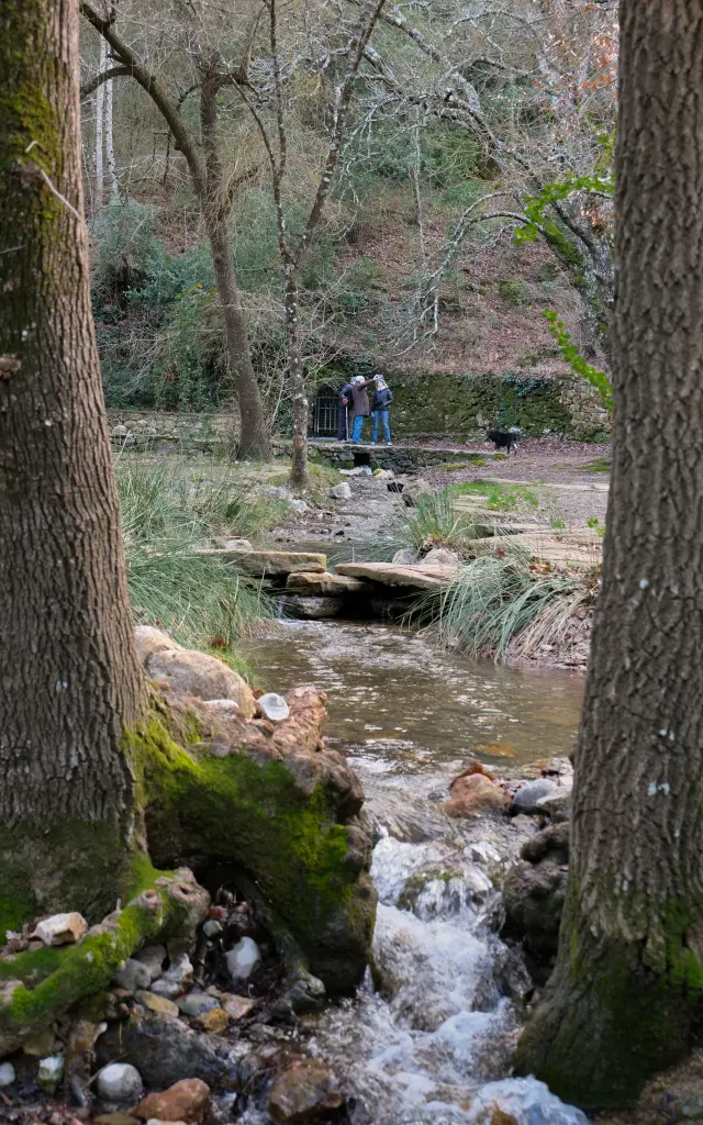Sources Des Nayes Saint Zacharie Aloti Pays Daubagne 9