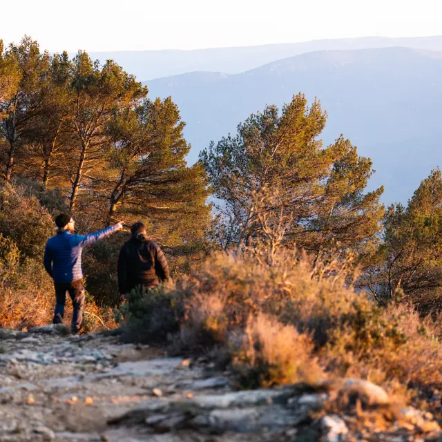 Randonnee Hiver Pays Daubagne @agence Mip X Corentin Cardon 18