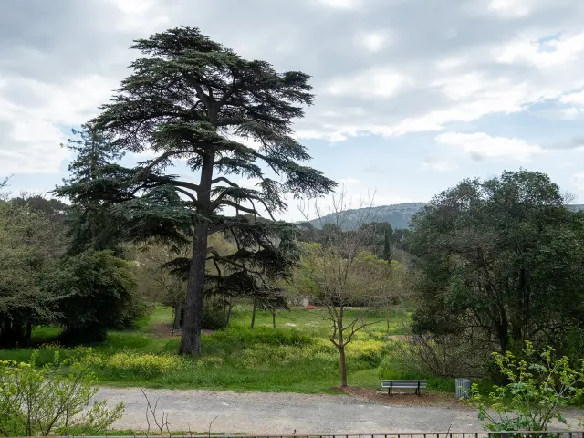 Parc du Chateau De La Buzine