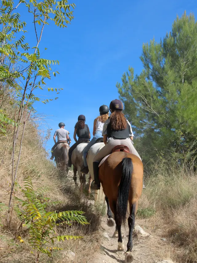 Provenceacheval Jpvallorani007 1