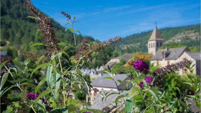 Chanac village vallée du lot