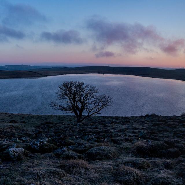 Lac d'Aubrac situé sur la route des lacs