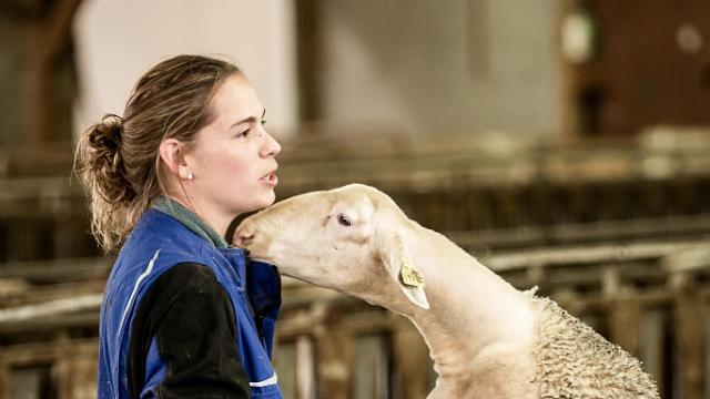 éleveuse brebis causse méjean