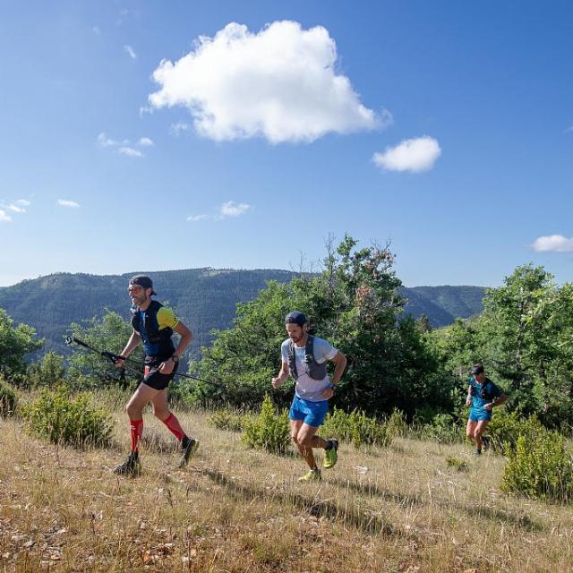 Trail sur le Causse de Sauveterre , au dessus de Sainte Enimie
