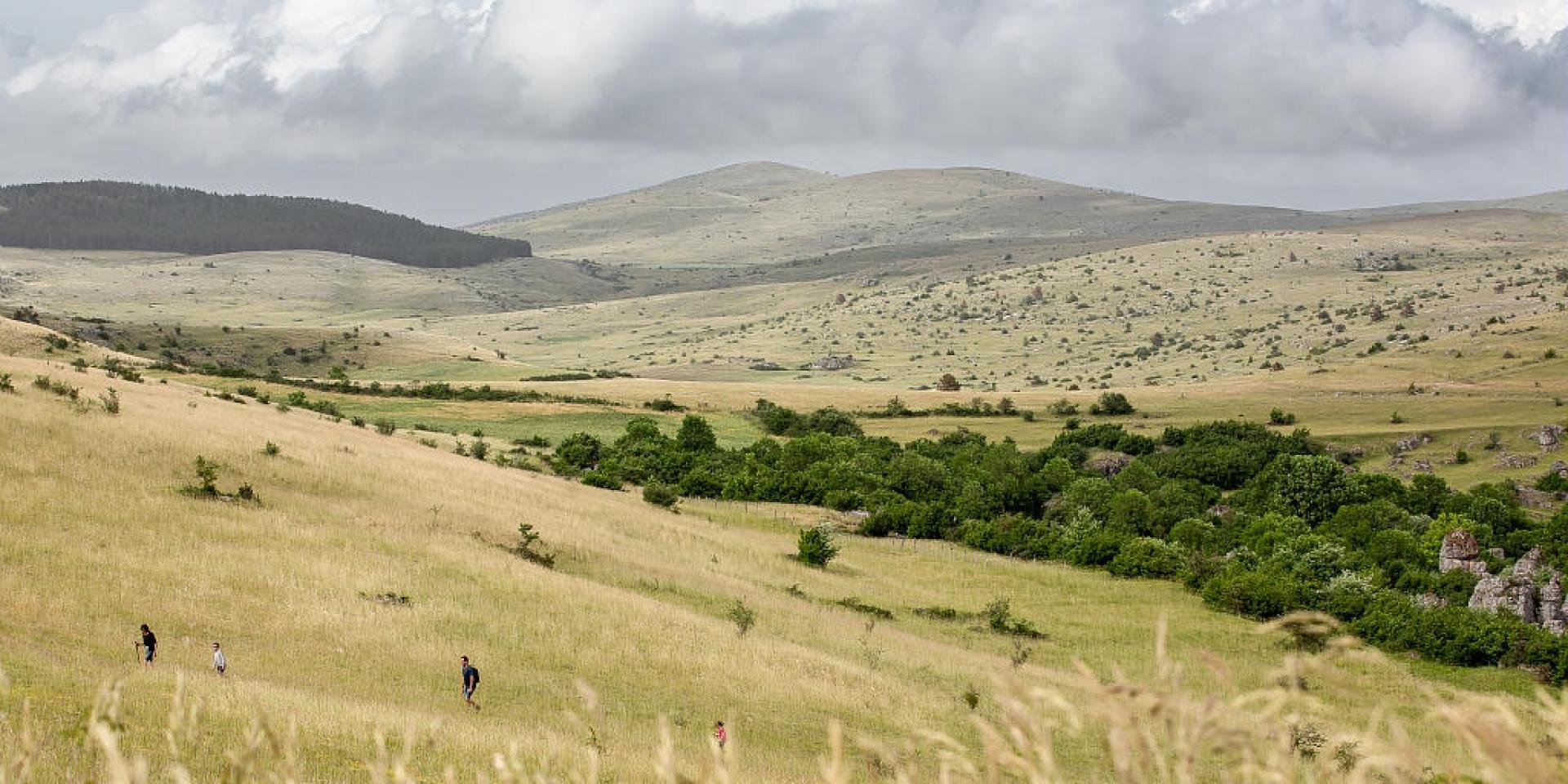 tour-du-causse-m-jean-de-l-aubrac-aux-gorges-du-tarn