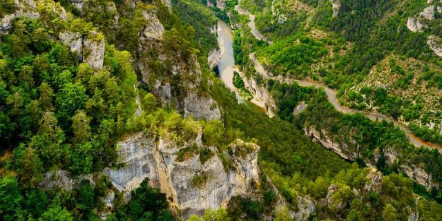 Point de vue panoramique des Gorges du Tarn depuis le Causse Méjean