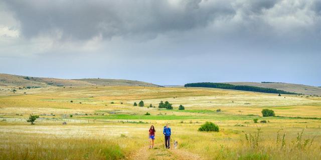 Hiking with your dog on the Causse Méjean