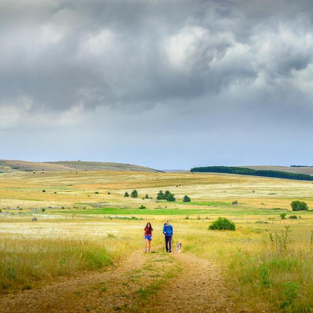 Randonnée en couple avec son chien sur le Causse Méjean
