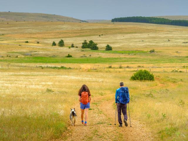 Hiking with your dog on the Causse Méjean