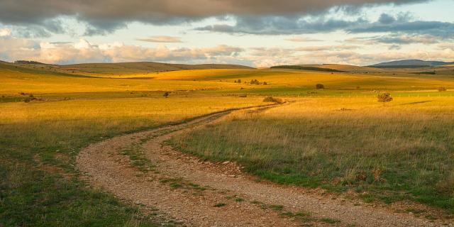 Le vaste plateau calcaire du Causse Méjean