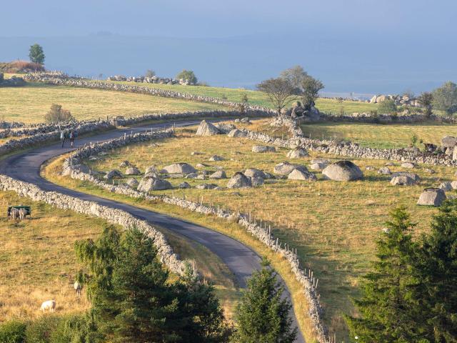 Randonneurs sur chemin compostelle, route Aubrac.