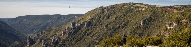 Vulture watching and sunrise at Point Sublime on the Causse de Sauveterre