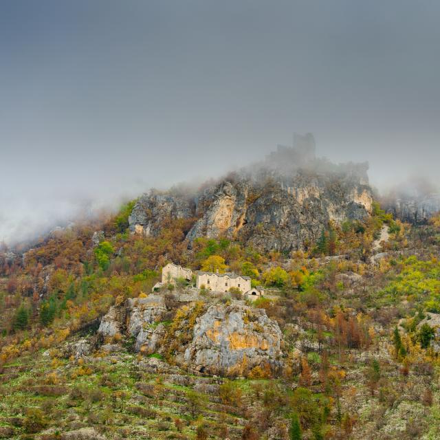 château hauterives automne gorges du tarn