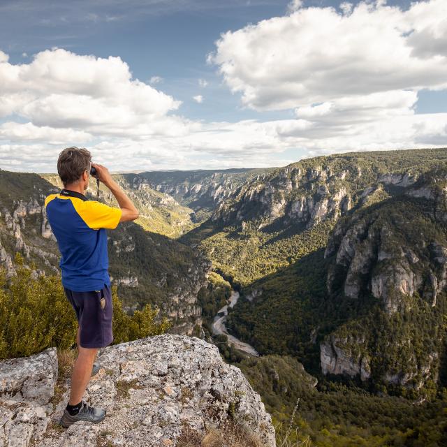 panorama point sublime corniche gorges du tarn
