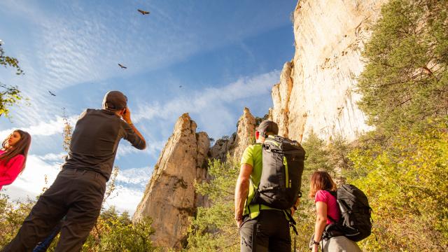 randonnée corniche méjean vautours