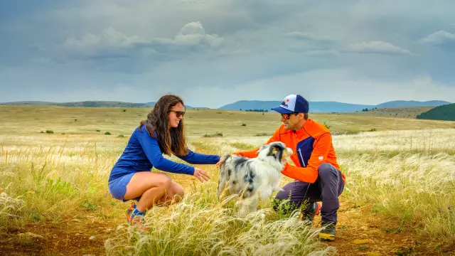 vacances avec chien randonnée lozère