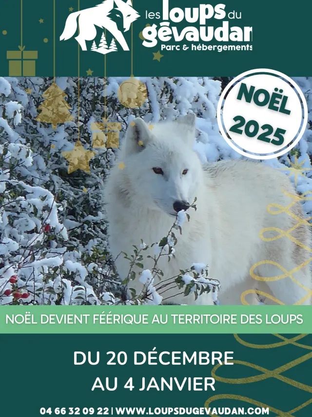 Loups Du Gevaudan Vacances De Noel