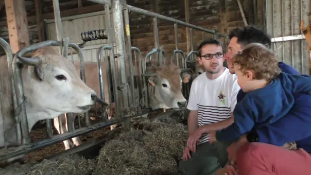 Visite ferme Rodier Aubrac