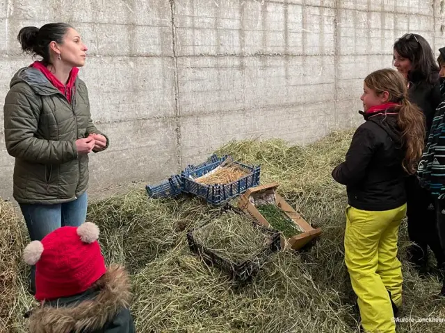 Visite Foin Ferme Laguiole