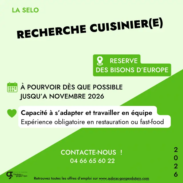 Offres D’emplois 2026 La Selo