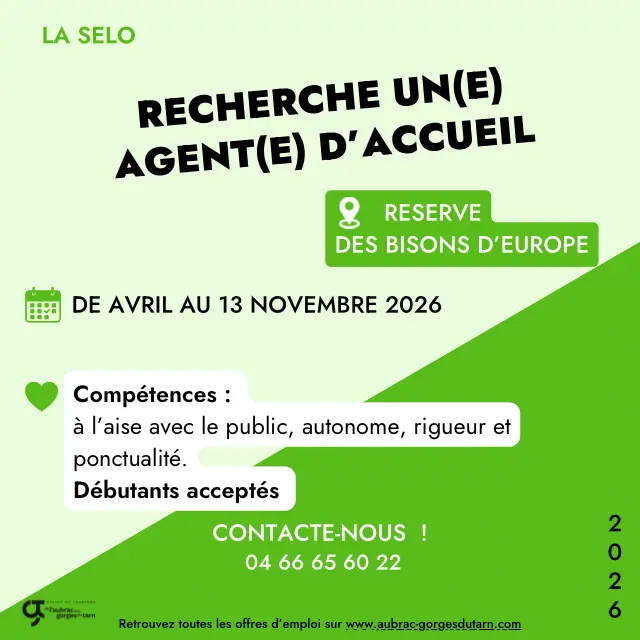 Offres D’emplois 2026 La Selo